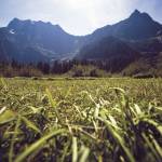Big Four Mountain stands tall in the background on a sunny day Aug. 19, 2016, at the Big Four Ice Caves Picnic Area off the Mountain Loop Highway. (Daniella Beccaria / For The Herald)