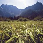 Big Four Mountain stands tall in the background on a sunny day at the Big Four Ice Caves Picnic Area off the Mountain Loop Highway on Friday, Aug. 19, 2016. (Daniella Beccaria / For The Herald)