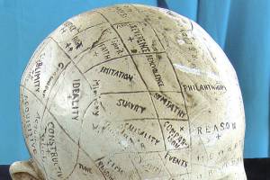 Old phrenology heads with zones mapped out sell for over $500
