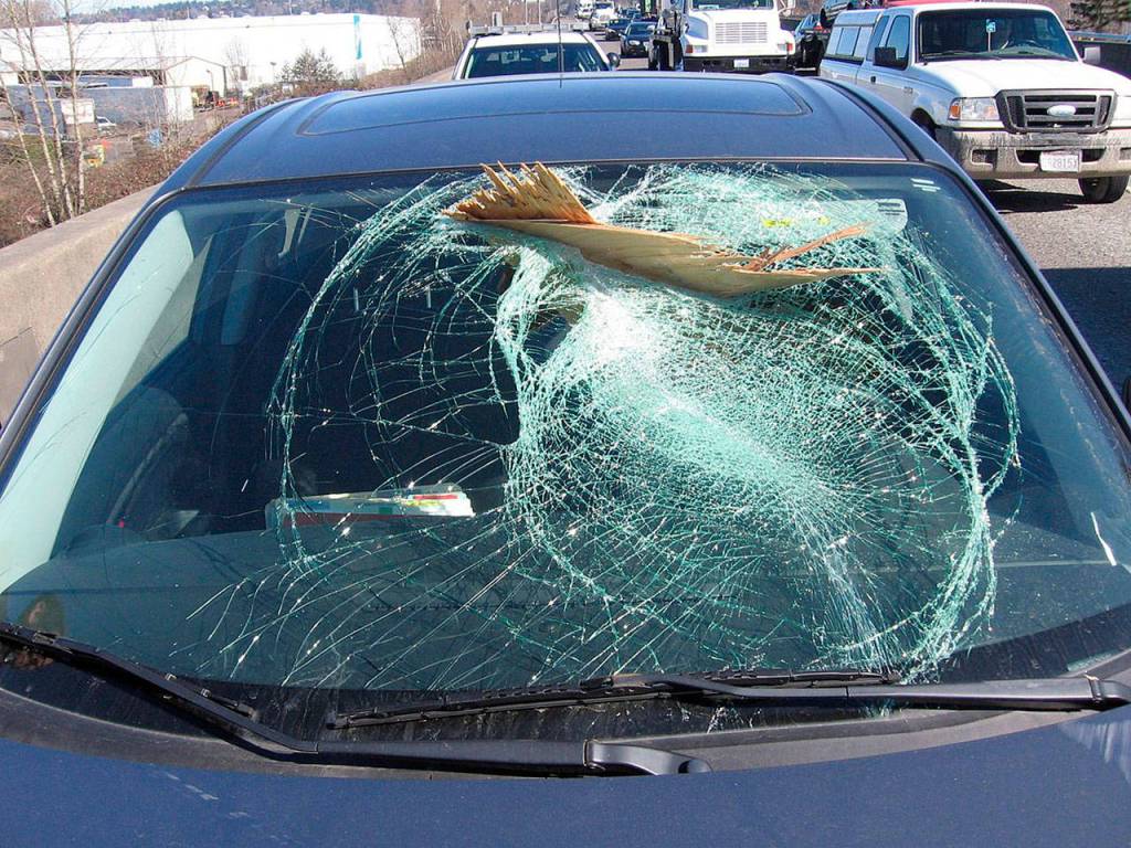 A piece of lumber from an unsecured load went through a vehicles windshield Tuesday along Highway 167 southbound in Kent. (Washington State Patrol)