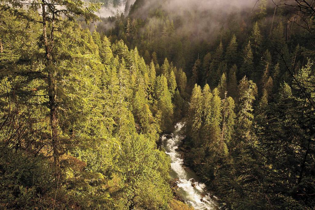 The Cascade River tumbles down a mountain valley on its way to the Skagit River near Marblemount. The Cascade also is protected by the Wild and Scenic Rivers Act. (Tim Palmer)