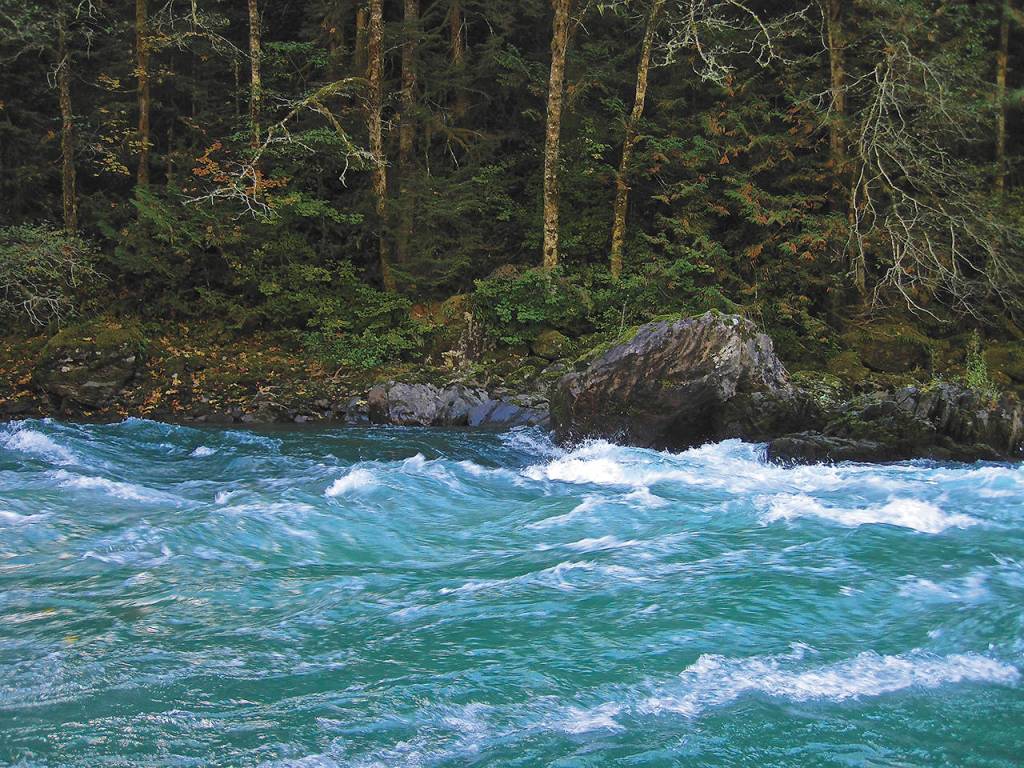 The protected stretch of the Skagit River extends from near Marblemount to Sedro-Woolley. (Tim Palmer)