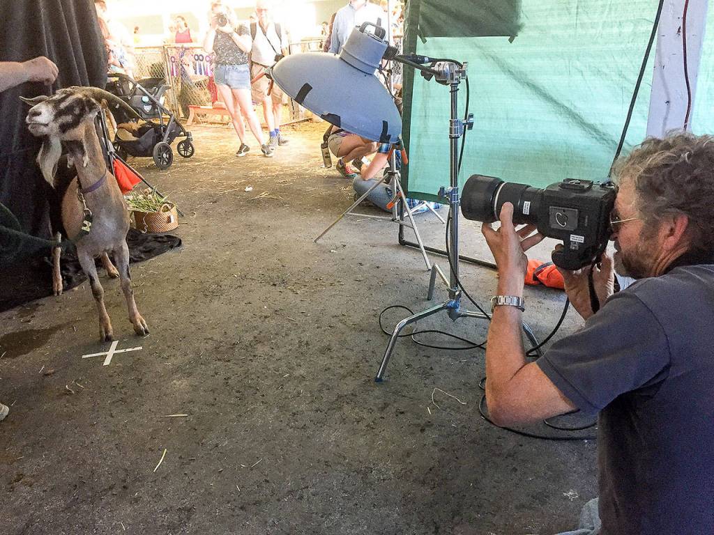 Kevin Horan zooms in on one of his subjects at the New Moon Farm Goatalympics at Evergreen State Fairgrounds in 2017. (Cindy Apple)