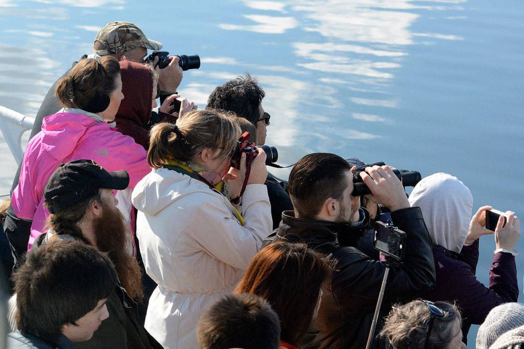 Whale tourists crowd the railings on a Mystic Sea excursion in 2014 with cameras, binoculars and phones in hand. (RJ Snowberger)