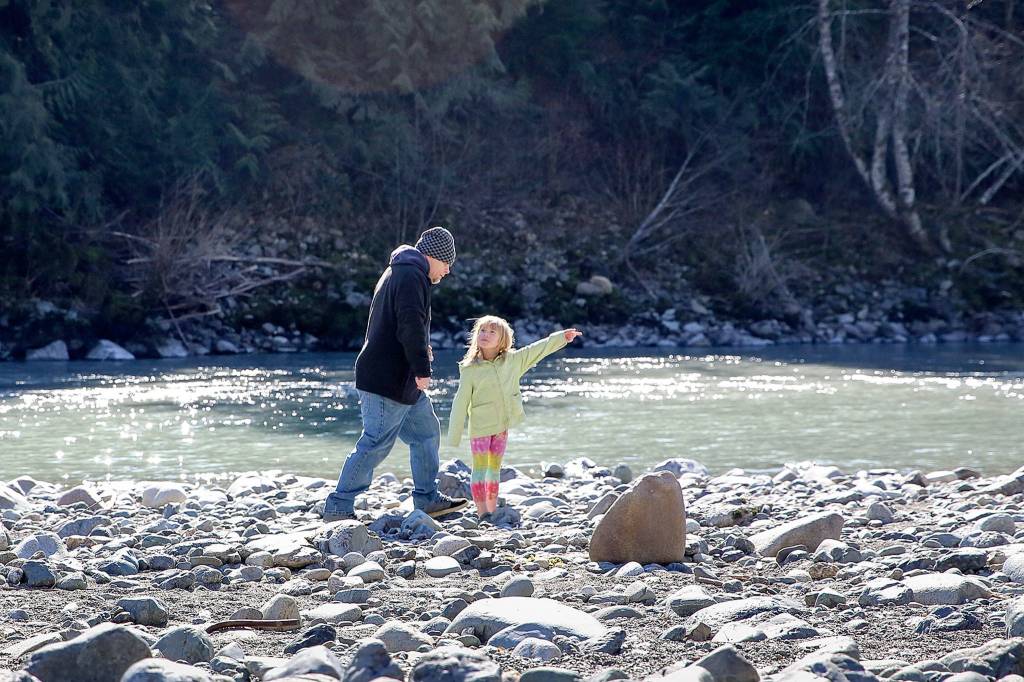 Jesse Miller and his daughter Roselyn Hunt, 6, browse the banks of the South Fork Stillaguamish River off Jordan Road in Arlington for gems and other precious medals on March 3. (Kevin Clark / The Herald)
