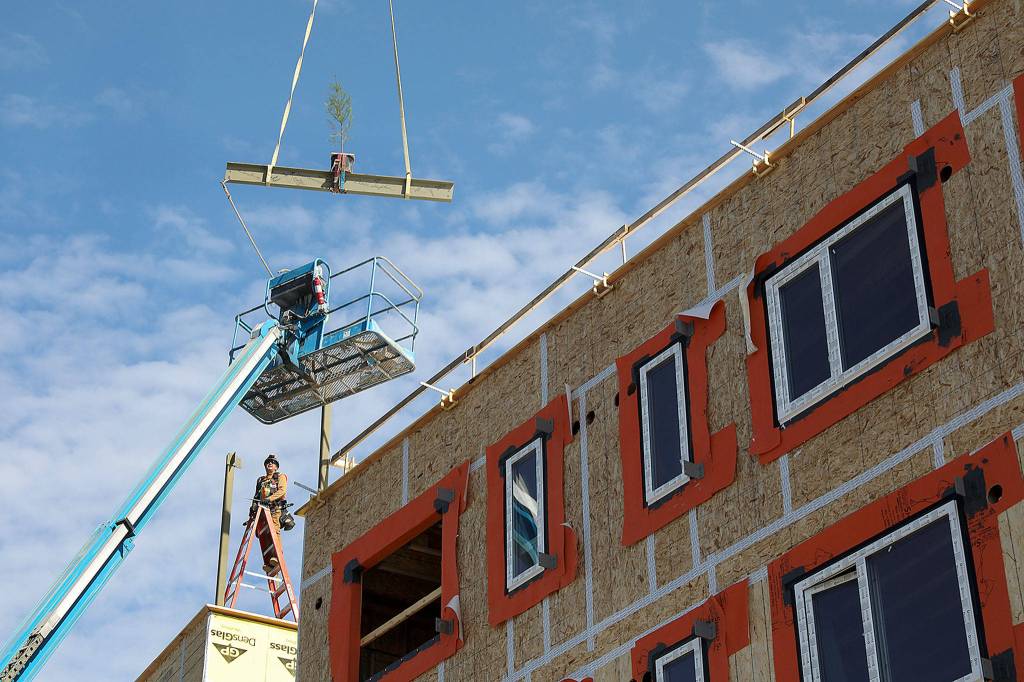 A tree was attached to the final beam for HopeWorks Station II to symbolize the life the project is bringing into the community. The beam was hoisted into place during a ceremony Friday, March 22. (Lizz Giordano / The Herald)