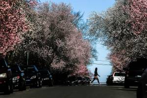 Spring it on! Free DQ cones, sunshine, super-duper moon