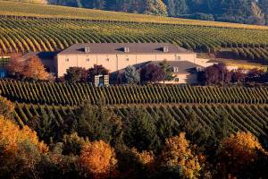 Northwest Wine: Archery Summit reveals height of Oregon pinot noir