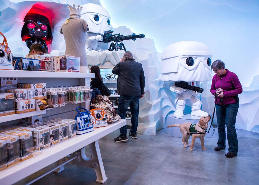 Jedi looks up at his trainer, Penny Potter, as they make their way through the Funko store for a training exercise on March 27 in Everett. (Olivia Vanni / The Herald)