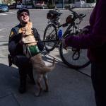 After leaving Funko, Jedi made a new friend, Officer Shane Nelson of the Everett Police Department. (Olivia Vanni / The Herald)