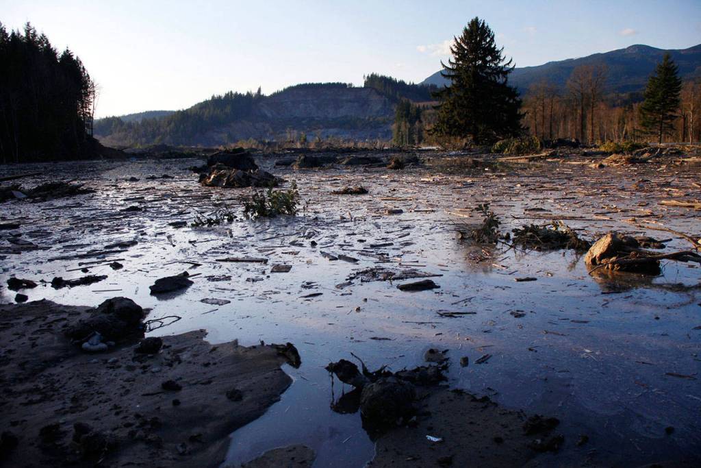 Water and mud back up on the east side of the fatal mudslide near Oso on March 23, 2014. (Genna Martin / The Herald)
