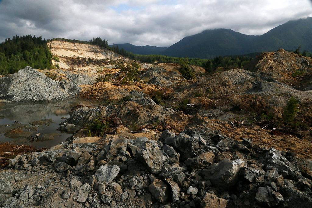 At the top of the drying mudslide, early morning light catches shades of grey clay contrasting with the brown earth on May 16, 2014 in Oso. (Dan Bates / The Herald)