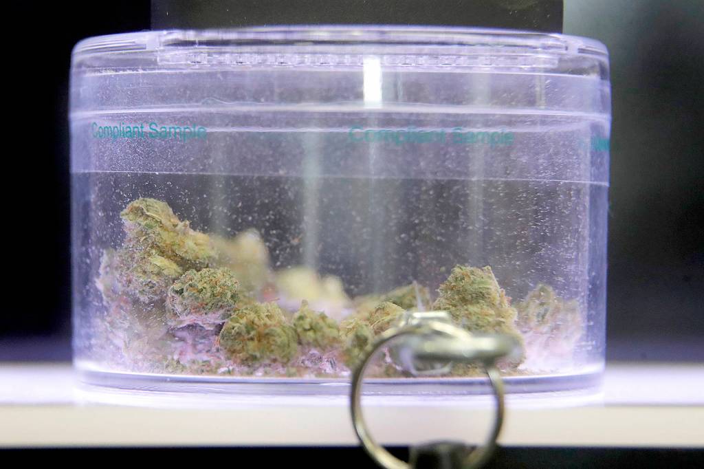 AP Photo/Julio Cortez                                Marijuana buds are locked on display at Compassionate Care Foundations medical marijuana dispensary Friday, March 22, in Egg Harbor Township, N.J. The Democrat-led Assembly and Senate have scheduled votes on a measure legalizing cannabis for Monday, March 25 though the outcome remains unclear.
