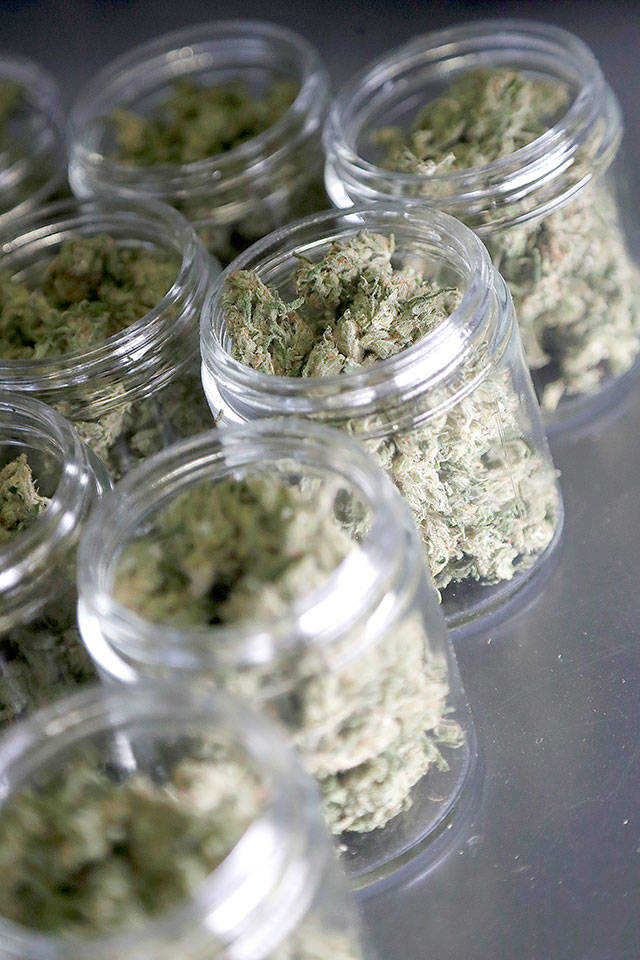 Marijuana buds are seen in prescription bottles after being sorted Friday, March 22, at Compassionate Care Foundations medical marijuana dispensary in Egg Harbor Township, N.J. Votes about legalizing recreational marijuana come after more than a year of mostly back-room wrangling since Democratic Gov. Phil Murphy came into office. Murphy campaigned on legalization, striking a contrast with his predecessor Republican Chris Christie. (AP Photo/Julio Cortez)