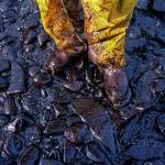 The Exxon Valdez oil tanker spill March 24, 1989, blackened hundreds of miles of coastline in Alaskas Prince William Sound, devasting wildlife and altering lives in fishing communities for generations. (John Gaps III / Associated Press)