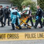 A man who police described as the shooting suspect is carried away on a gurney after a car he was driving collided with a second vehicle, killing the driver, on Sand Point Way Northeast in Seattle. (Steve Ringman/The Seattle Times via AP)
