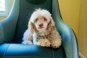 Parents deserve time-outs too — especially during the teen years