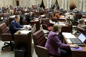 Less spending and fewer new taxes in Senate Democrats’ budget