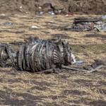 In this March 11 photo, airplane parts lie on the ground at the scene of an Ethiopian Airlines flight crash near Bishoftu, or Debre Zeit, south of Addis Ababa, Ethiopia. Investigators have determined that an anti-stall system automatically activated before the Ethiopian Airlines Boeing 737 Max jet plunged into the ground, The Wall Street Journal reported Friday, March 29. (AP Photo/Mulugeta Ayene, File)