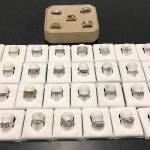 Multiple rings were found at the suspects home. (Bellevue Police Department)