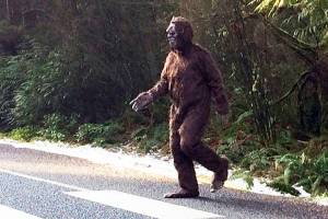 Bigfoot sightings abound on Whidbey