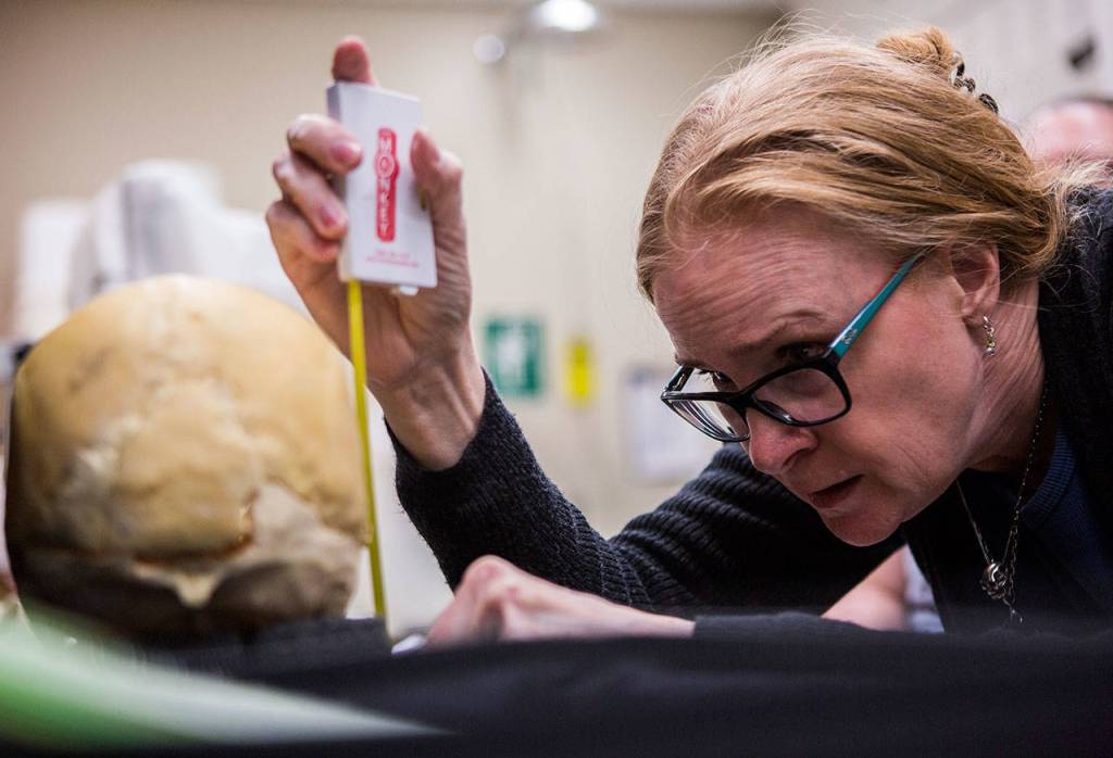 Natalie Murry measures the skull to help her orient her sketches based on the Frankfurt horizontal plane while she works at the King County Medical Examiners Office on March 14 in Seattle. (Olivia Vanni / The Herald)