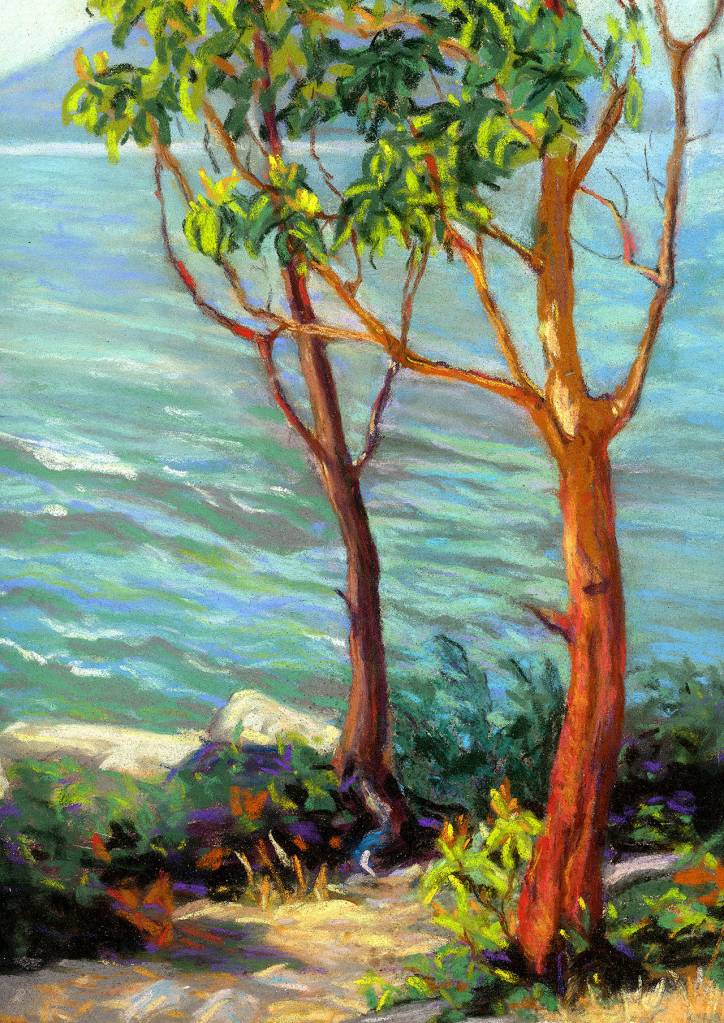 Helen Loggies pastel Madrona Trees from about 1918, before her career turned to etching. Loggie was from Bellingham.