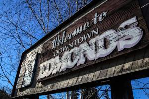 Edmonds sign saga: Locals chime in on ferry, seagull, font
