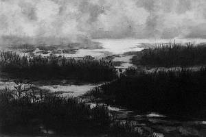 Mesmerizing moments in nature inspire this Mukilteo artist