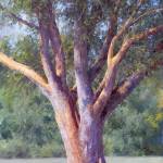 See Pacific Madrone, an oil on linen by James Tennison, in the Spring Group Show at Rob Schouten Gallery in Langley.