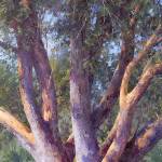 Snapshot of art galleries and exhibits in Snohomish County