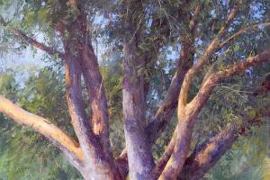 Snapshot of art galleries and exhibits in Snohomish County