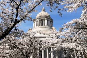 Once again, state rules for school levies are up for debate
