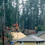 The site of the Frognal Estates subdivision was logged in December. Snohomish County is preparing to issue a grading permit for more extensive work on the proposed subdivision near Picnic Point Road. (Noah Haglund / The Herald)
