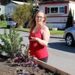 Wagon Wheel Mobile Home park resident Mary Linn looks at her new plants, which she said she wont be able to water. The parks well, serving more than 70 residents, went dry. Water is trucked to the park while city and county officials look for solutions to avoid the loss of affordable housing. Photo by Laura Guido/Whidbey News-Times