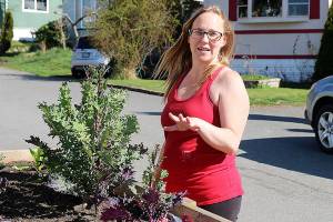 Wells dry up in North Whidbey mobile home park