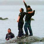 US proposes plan for Washington tribe to resume whale hunts