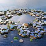A rendering of an Oceanix floating city as seen from above. (Oceanix/Bjarke Ingels Group)