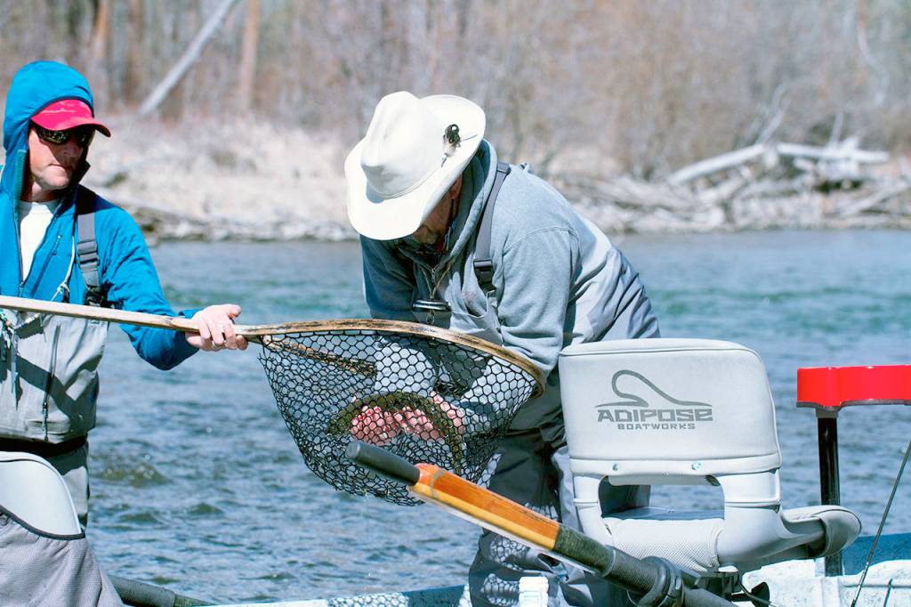 Les Bouck of Everett admires a trout he caught on the Yakima River. (Mike Benbow photo)