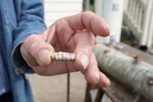 Port Orchard farmer is growing gourmet fungi on tree logs