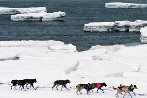 Bering Sea changes startle scientists, worry residents