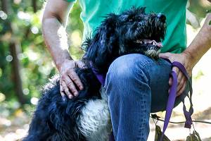 PAWS awaits approval for new shelter and wildlife center