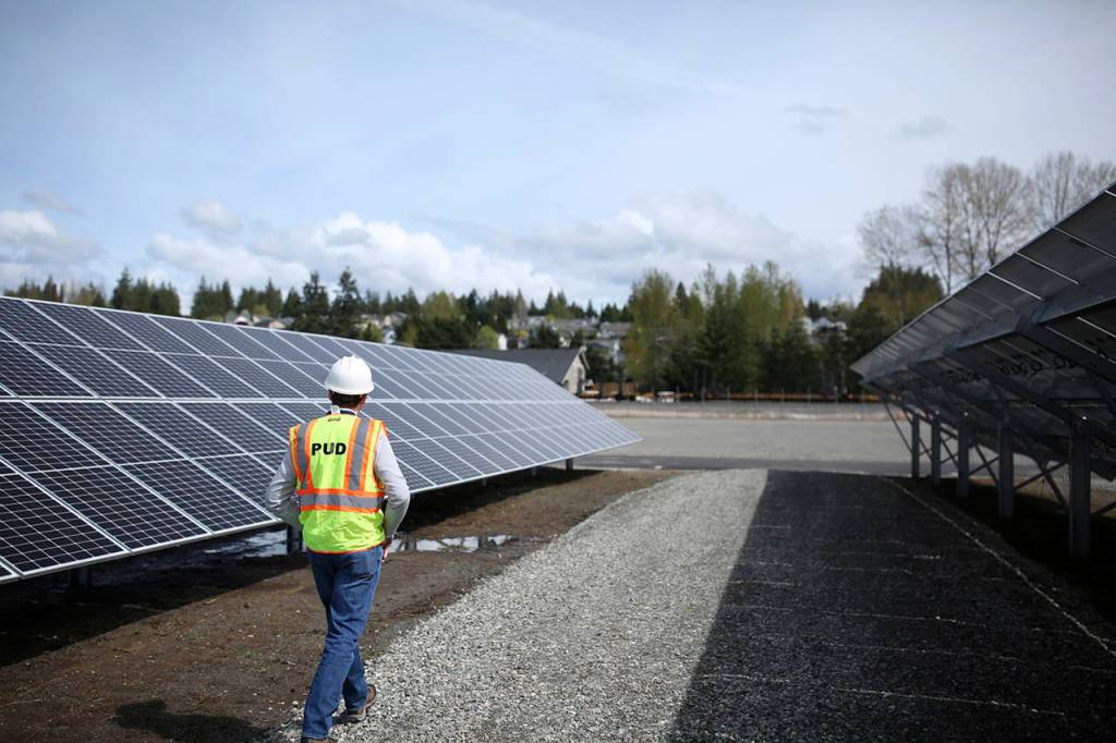 Snohomish PUD employee Cayle Thompson walks through the 2-acre community solar project in Arlington Monday, April 15. (Julia-Grace Sanders/ The Herald)