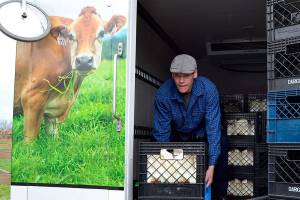 E. coli found in sample of raw milk from Sequim creamery