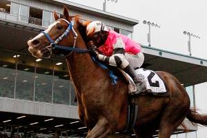Emerald Downs season set to open Saturday