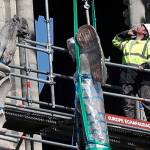 Drunk on smoke: Notre Dame’s bees survive cathedral blaze