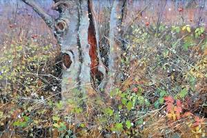 EvCC instructor’s artwork inspired by seasonal transitions