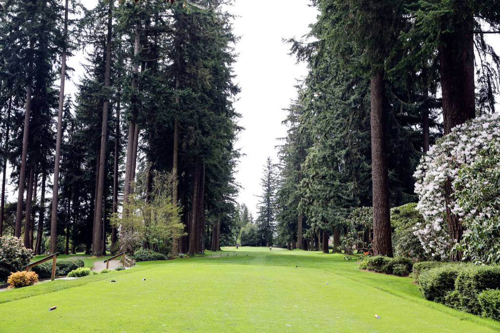 The 16th tee at Everett Golf Country Club on Sunday. The course will host the final round of the Snohomish County Amateur tournament following a four-year hiatus. (Kevin Clark / The Herald)