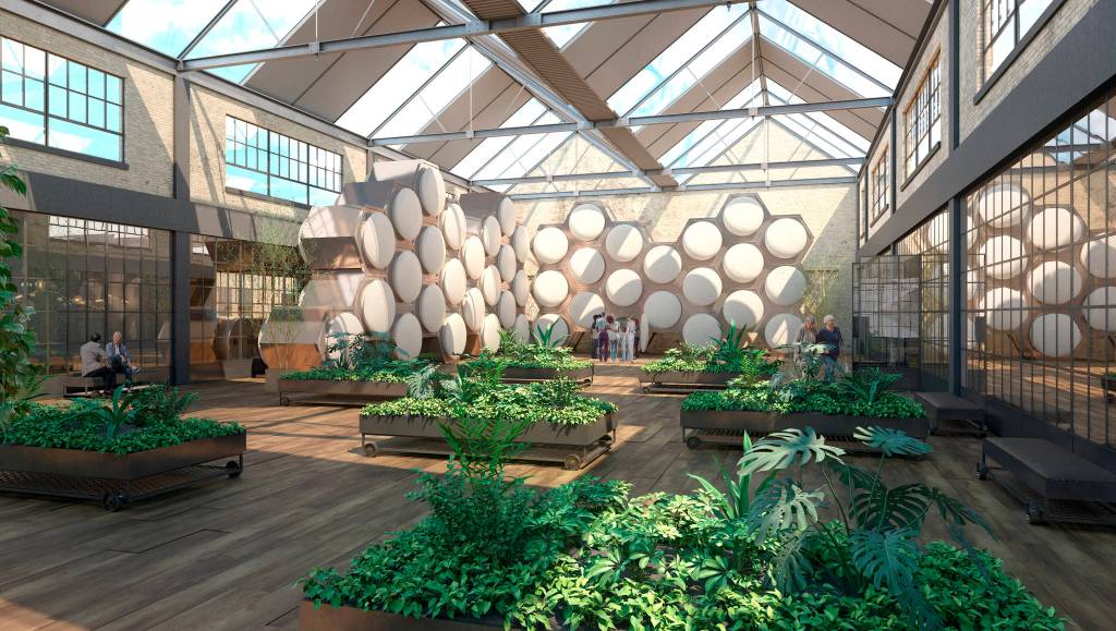 Back to the Earth: State set to allow human composting