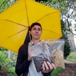 Back to the Earth: State set to allow human composting